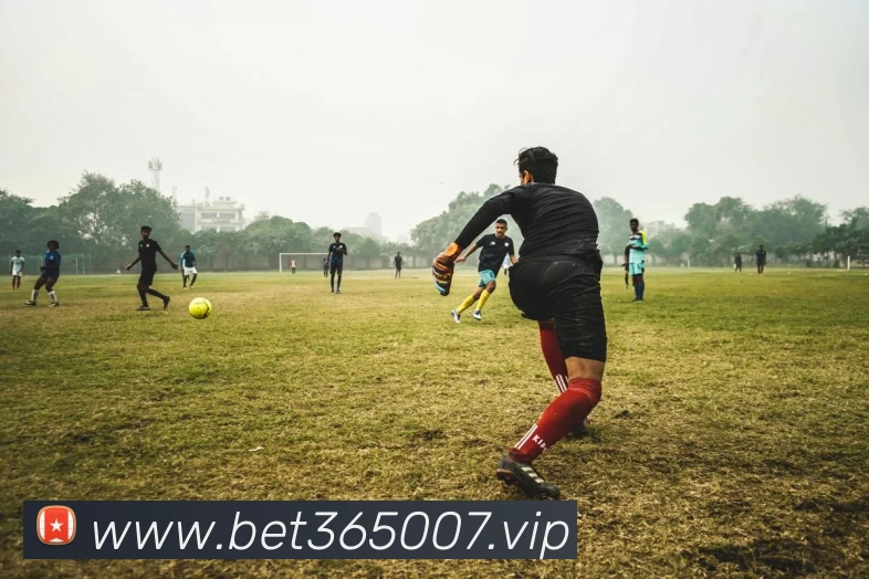bet365中国官网全站App